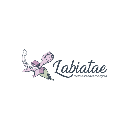 Labiatae